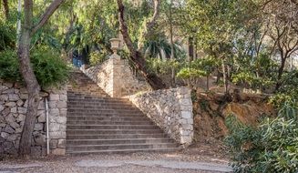 stone stairs in the park