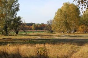 Landscape of colorful trees in late summer