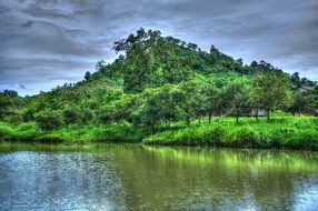 mountain in green trees on the coast under the clouds