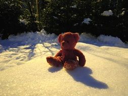 teddy bear on the snow in the light