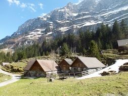 wooden mountain huts at the foot of the alps