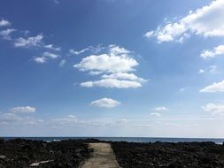 view of the orchean from Jeju Island