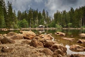 landscape of stones on a lake among the forest