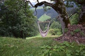 Hammock in the forest