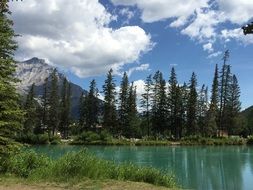 Landscape with the trees and mountain near the river in Canada