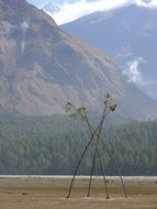 bamboo swing in the mountains of Nepal