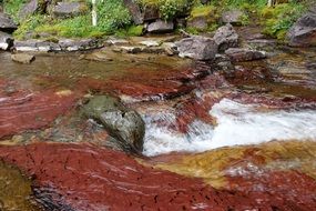 Stream River Fall Water Nature