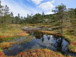 magnificent Water Pond