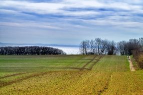 Landscape of fields on a baltic sea bank