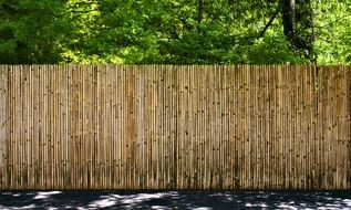 Fence made of bamboo