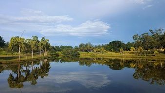 Pond Dam