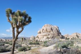 Mountain in National Park in California