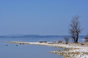 landscape of white round stones on the shore of fresh lake Chiemsee