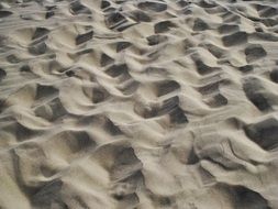 Landscape of north sea dune sand
