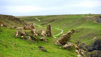 Landscape with the rocks and grass