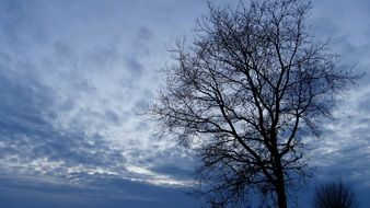 Landscape of cloudy blue sky