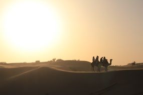 Desert Camel Ride in Dubai