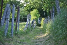 fascinating Path Country