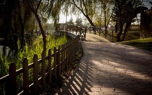 Paved path in a park in Istanbul, Turkey