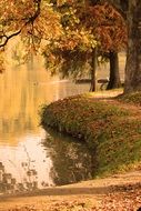 lake in the park in autumn