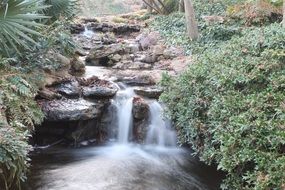 faterfall among tropical plants in Botanical Garden, usa, texas, dallas