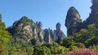 landscape of Zhangjiajie National Forest Park