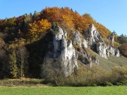 autumn forest on the rocks in poland national park