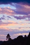 silhouettes of trees in the mountains at sunset
