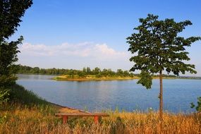 bench on the lakeside