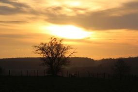 evening mood over the countryside