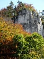 rock in autumn forest, poland