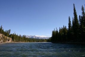 panoramic view of a lake among a forest in canada