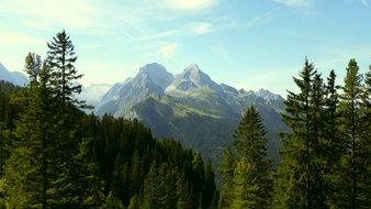 mountain behind green trees