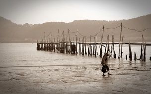 beach landscape sepia photo