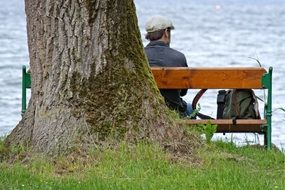 man on a bench near a large tree by the lake