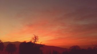 orange red evening sky at dusk