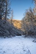 winter landscape road in the forest