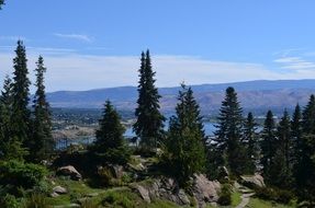 distant view of a river in a beautiful forest