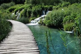 boardwalk bridge on the lake