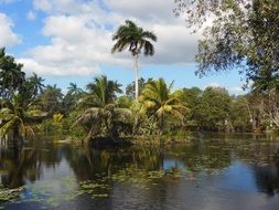 exotic lake in cuba