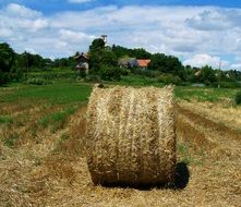 incomparable Straw Bale