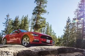 red ford mustang among beautiful nature