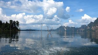 awesome Landscape