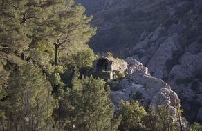 green trees on a cliff, turkey, lycian way