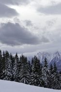 Forest Frost cloud sky landscape
