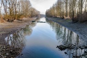 mirror reflection of trees in a river