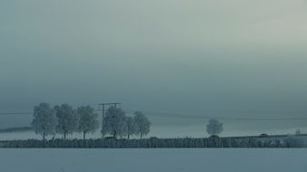 Landscape of wintry mist