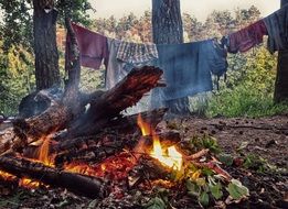 Colorful clothes dried on a rope by the fire among the plants