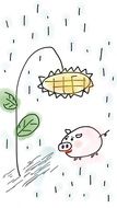 painted pig under a sunflower in the rain