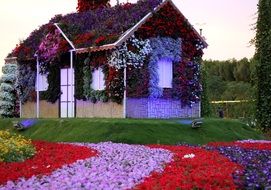 colorful hut in dubai flower park